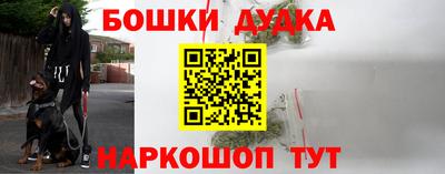 крисы Бузулук